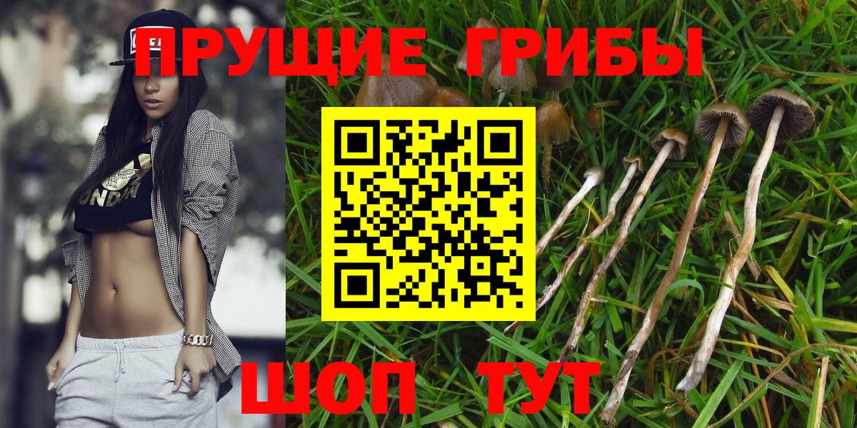 Галлюциногенные грибы прущие грибы Белая Калитва