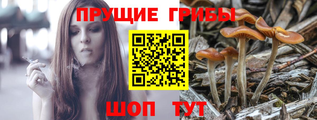 Галлюциногенные грибы ЛСД  Вход с VPN  цена   Белая Калитва 